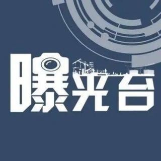 电报频道的标志 dny_dsj2 — 东南亚黑幕曝光
