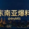 电报频道的标志 dnyflbdsj — 东南亚爆料