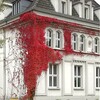 Логотип телеграм канала @do_in_de — дом. интерьер. дизайн