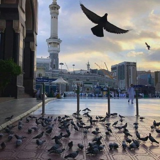 لوگوی کانال تلگرام doaa1355 — ثمّة ضُوء✨.