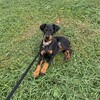 Логотип телеграм канала @dober_lunna — dober_lunna