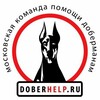 Logo of telegram channel doberhelp — DoberHelp