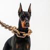 Логотип телеграм канала @dobermamochka — Доберман - съёмки и жизнь