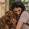 Логотип телеграм канала @dobroe_serdzee — ДоброеСердце