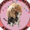 Логотип телеграм канала @dobrolyubovkotyat — добренькие животные и подписи к ним