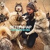 Логотип телеграм канала @dobrovolk40 — DOBRO🐺VOLK