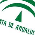 Logo saluran telegram docentesandalucia — Docentes Andalucia