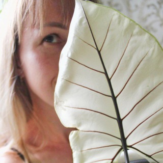 Логотип телеграм канала @doch_biologa — Дочь биолога🌳