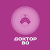 Логотип телеграм канала @doctorvo — Доктор Во 👍