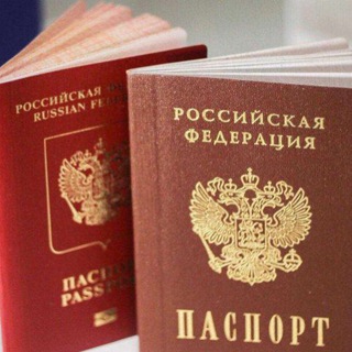 Логотип телеграм канала @documentdnr — ДНР в РФ: документы (паспорт, СНИЛС, ОМС, ИНН)