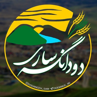 لوگوی کانال تلگرام dodange_96 — دودانگه ساری💎