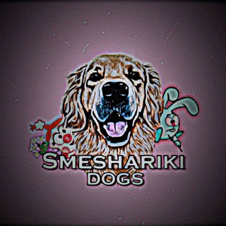 Logo saluran telegram dog_hause_petcahe — 🔪𝙨𝙢𝙚𝙨𝙝𝙖𝙧𝙞𝙠𝙞 𝙙𝙤𝙜𝙨🦴