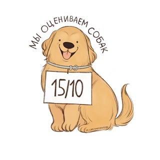 Логотип телеграм канала @dog_rates — мы оцениваем собак
