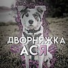 Логотип телеграм канала @dog_asya42 — 🤍дворняжка ася🤍