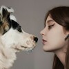 Логотип телеграм канала @dog_asya_42 — дворняжка Ася