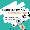 Логотип телеграм канала @dog_cat_patrol — ЗООПАТРУЛЬ Приморский край