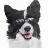 Логотип телеграм канала @dog_houston — ХЬЮСТОН и Кирилл