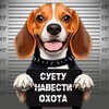 Логотип телеграм канала @dog_sky — Дело бигля Ская 🐾