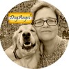 Логотип телеграм канала @dogangel — DogAngel Золотистые ретриверы / Животные / Питомцы