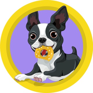 Логотип телеграм канала @dogbublik — Бублик