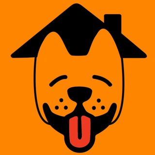 Логотип телеграм канала @dogcityua — DOG CITY