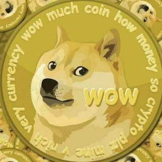 Logo of telegram channel doge_coin_update — DOGE COIN UPDATES ✅