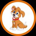 Logo saluran telegram dogechunews — DogeChu Ann