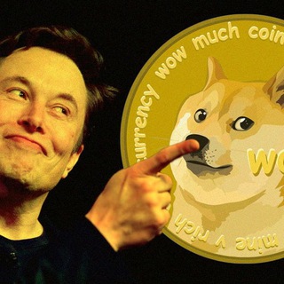 Logo of telegram channel dogecoin_elon_musk — Dogecoin Crypto | Token
