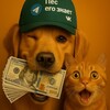 Логотип телеграм канала @dogegoznaet — Пес его знает