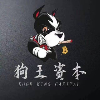 电报频道的标志 dogeking_buybuy — 狗王资本_Channel_calls