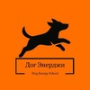Логотип телеграм канала @dogenergyclub — Дог Энерджи. Кинологическая школа