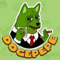 Logo saluran telegram dogepepetokens — DogePepe Pinksale Presale