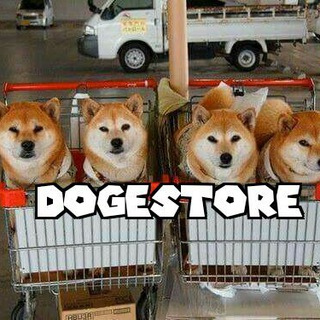 Telegram channel DogeStore logo