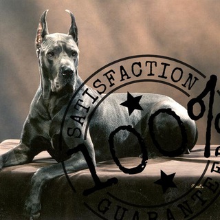 Логотип телеграм канала @doggy_0_style — doggy style