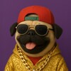 Логотип телеграм канала @doggy_jscasino — Doggy Casino Club