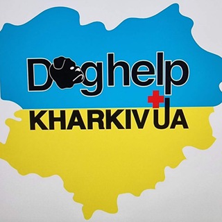 Логотип телеграм -каналу doghelpkharkivua — Dog help Kharkiv UA