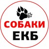 Логотип телеграм канала @doghome_ekb — Собаки бесплатно в добрые руки ЕКБ и СО