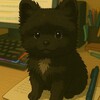 Логотип телеграм канала @dogkisova — КИНОЛОГ И ЗООПСИХОЛОГ ОЛЬГА КИСОВА