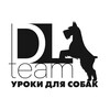 Логотип телеграм канала @doglesson — Dogslessons | УДЦ Сириус | Дрессировка собак