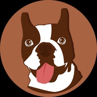 Logo of telegram channel dogonswap_channel — DOGONSWAP 📣 Announcement Channel