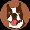 Logo of telegram channel dogonswap_channel — DOGONSWAP 📣 Announcement Channel
