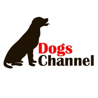 Логотип телеграм канала @dogs_channel — Dogs Channel
