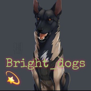 Логотип телеграм канала @dogs18 — Bright_dogs