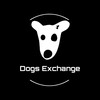 لوگوی کانال تلگرام dogs_ex — صرافی داگز Dogs | خرید و فروش داگز Dogs