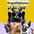 Logo saluran telegram dogsdiploma — dogsdiploma