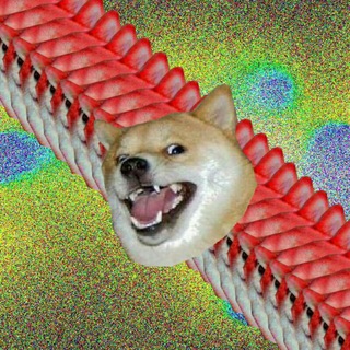 Telegram channel Doguinhos logo