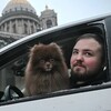 Логотип телеграм канала @dogtaxispb — Барни по вызову