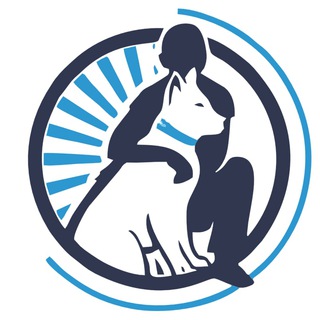 Логотип телеграм канала @dogtraineasy — Дрессировка собак/ кинолог Илья Столетний