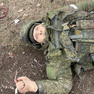 Логотип телеграм -каналу dohliorki — Мертві орки⚰️
