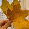 Логотип телеграм канала @dohodtrata — Доходы/расходы